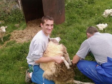 Hi hi hi c'est amusant la tonte