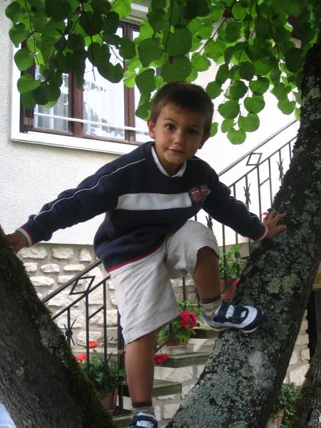 Alexandre fait le singe