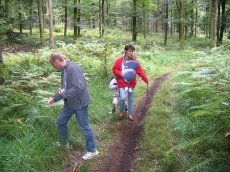 Promenade dans les f�rets vosgiennes