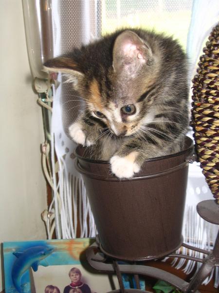 Choupette prend ses marques !!!!